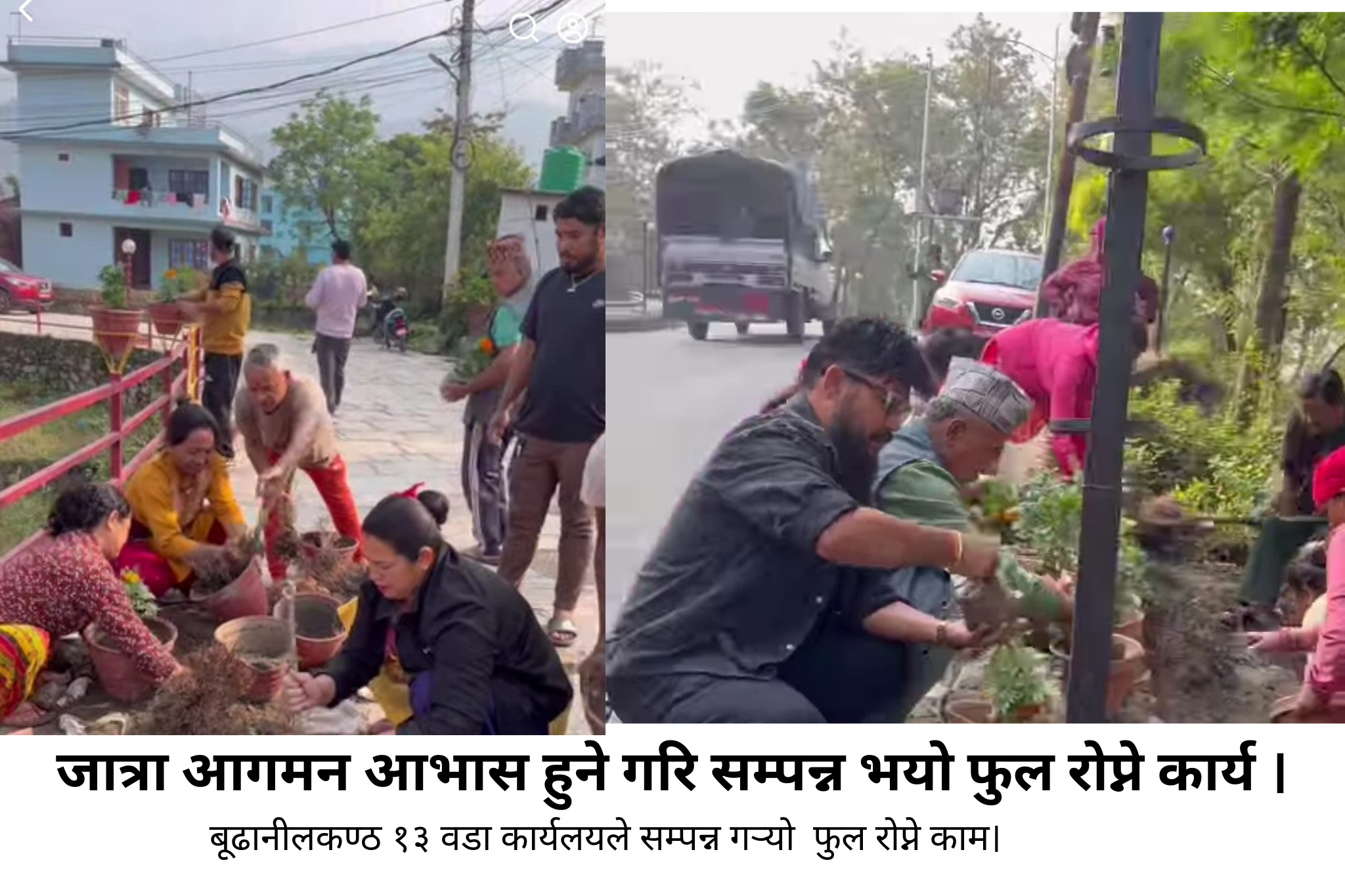 नौलिन भद्रकाली जात्रा लक्षित गर्दै वडा नं. १३ मा फूल रोपेर बढाइयो रौनक ।